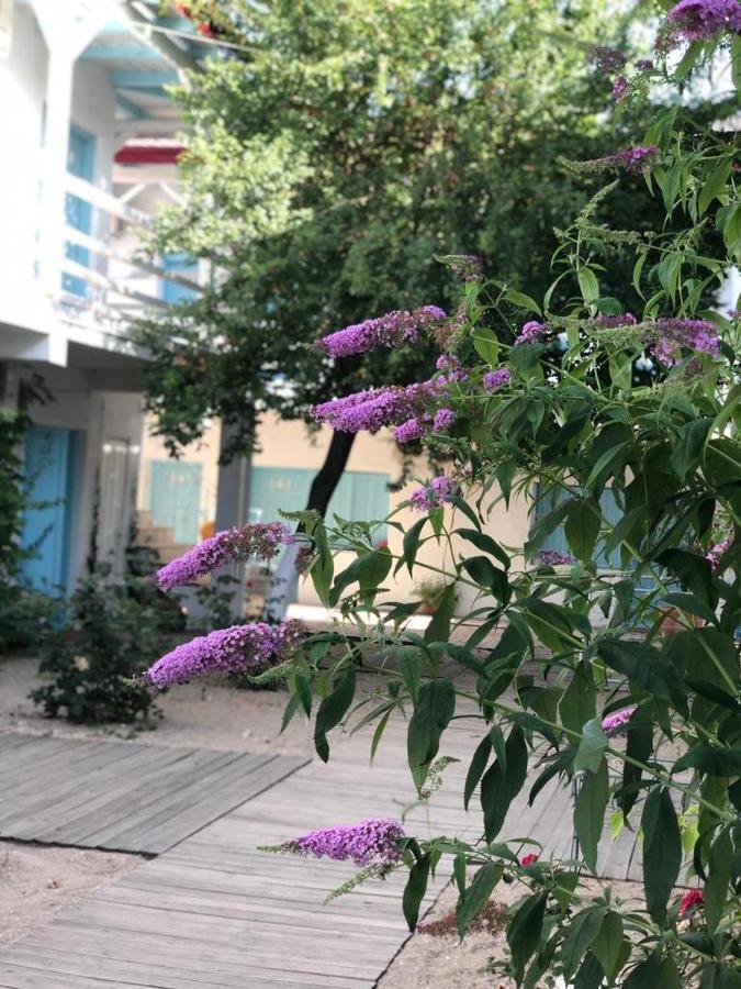 Hotel Casa Stavros Două Mai Zewnętrze zdjęcie