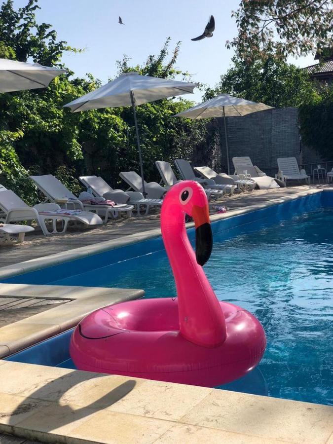 Hotel Casa Stavros Două Mai Zewnętrze zdjęcie
