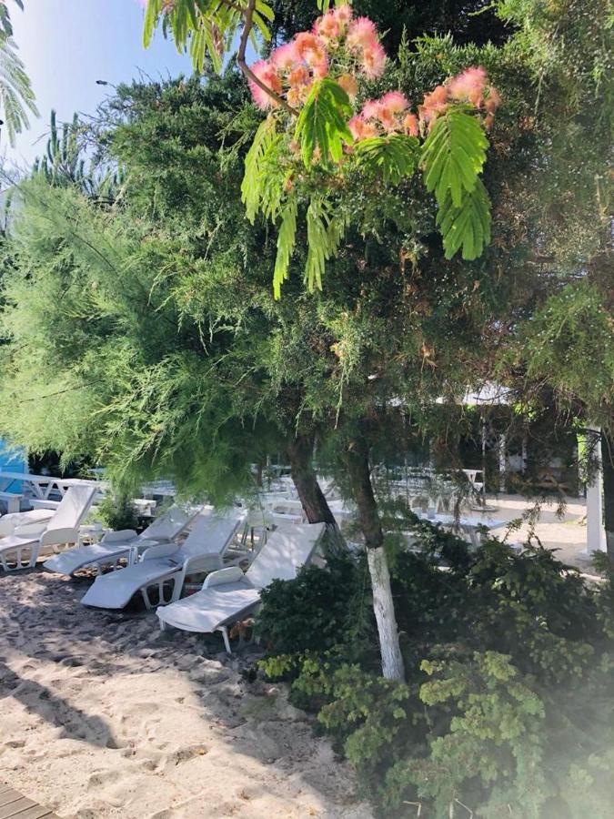 Hotel Casa Stavros Două Mai Zewnętrze zdjęcie