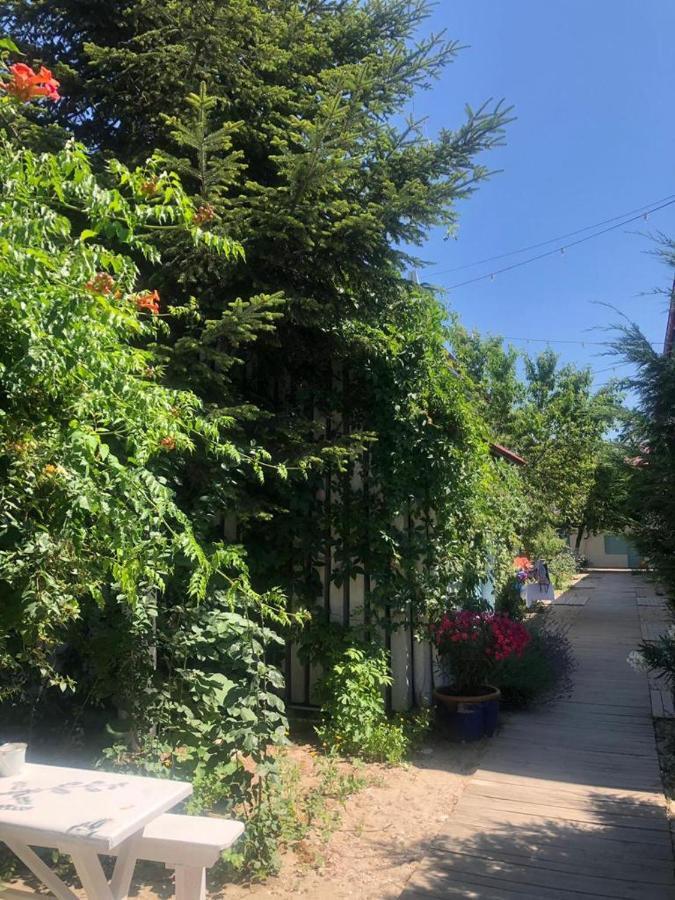 Hotel Casa Stavros Două Mai Zewnętrze zdjęcie